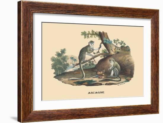 Singes Monkeys-E.f. Noel-Framed Art Print