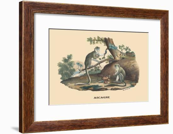 Singes Monkeys-E.f. Noel-Framed Art Print