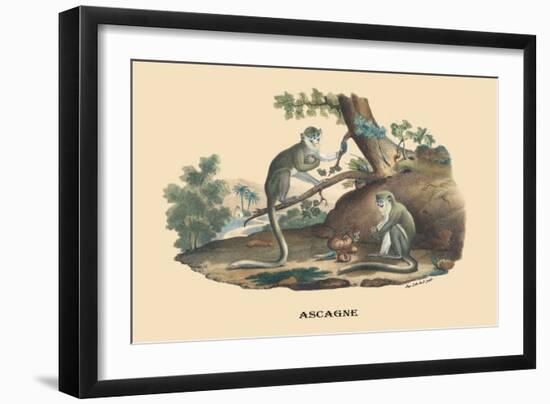 Singes Monkeys-E.f. Noel-Framed Art Print