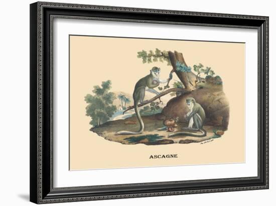 Singes Monkeys-E.f. Noel-Framed Art Print