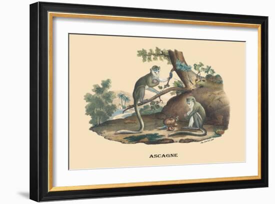 Singes Monkeys-E.f. Noel-Framed Art Print