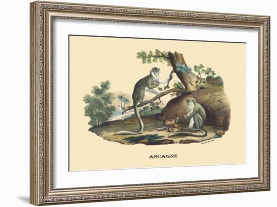 Singes Monkeys-E.f. Noel-Framed Art Print