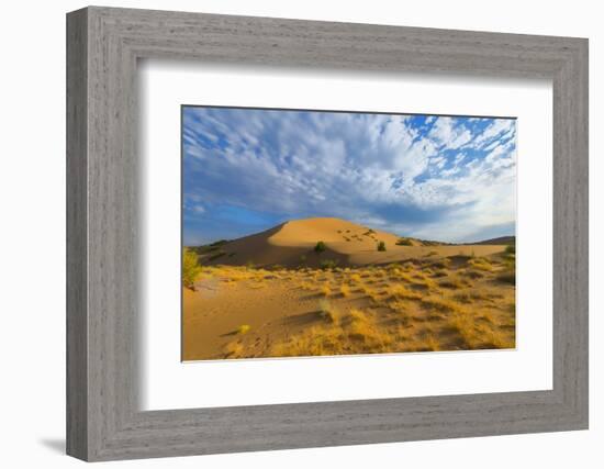 Singing Dunes, Altyn-Emel National Park, Almaty region, Kazakhstan, Central Asia, Asia-G&M Therin-Weise-Framed Photographic Print