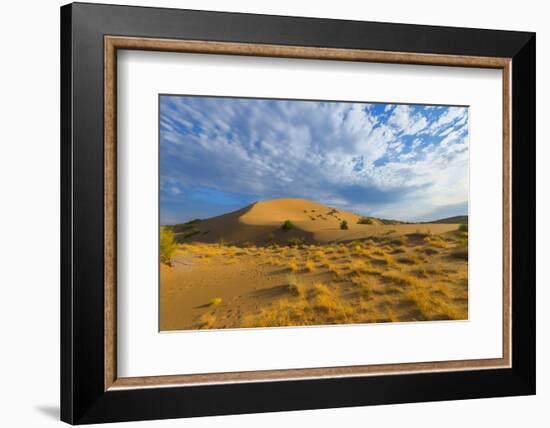 Singing Dunes, Altyn-Emel National Park, Almaty region, Kazakhstan, Central Asia, Asia-G&M Therin-Weise-Framed Photographic Print