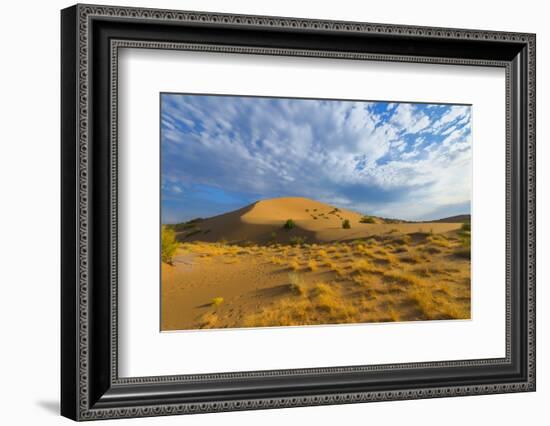 Singing Dunes, Altyn-Emel National Park, Almaty region, Kazakhstan, Central Asia, Asia-G&M Therin-Weise-Framed Photographic Print