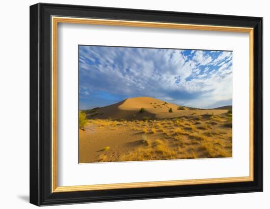 Singing Dunes, Altyn-Emel National Park, Almaty region, Kazakhstan, Central Asia, Asia-G&M Therin-Weise-Framed Photographic Print