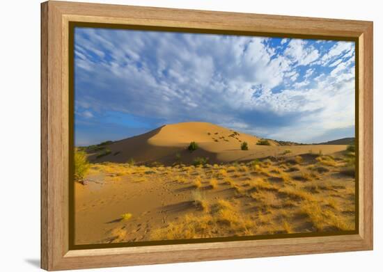 Singing Dunes, Altyn-Emel National Park, Almaty region, Kazakhstan, Central Asia, Asia-G&M Therin-Weise-Framed Premier Image Canvas