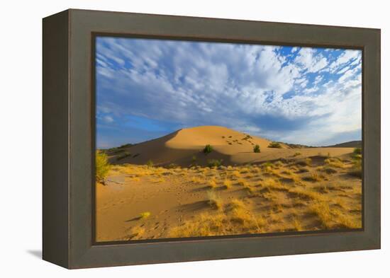 Singing Dunes, Altyn-Emel National Park, Almaty region, Kazakhstan, Central Asia, Asia-G&M Therin-Weise-Framed Premier Image Canvas