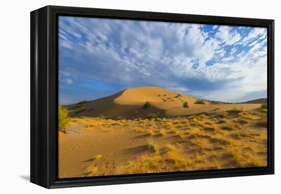 Singing Dunes, Altyn-Emel National Park, Almaty region, Kazakhstan, Central Asia, Asia-G&M Therin-Weise-Framed Premier Image Canvas