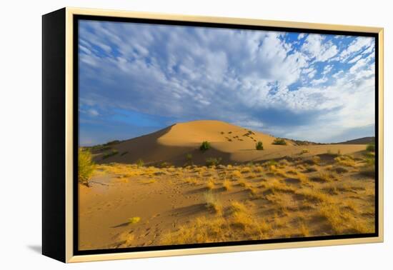 Singing Dunes, Altyn-Emel National Park, Almaty region, Kazakhstan, Central Asia, Asia-G&M Therin-Weise-Framed Premier Image Canvas
