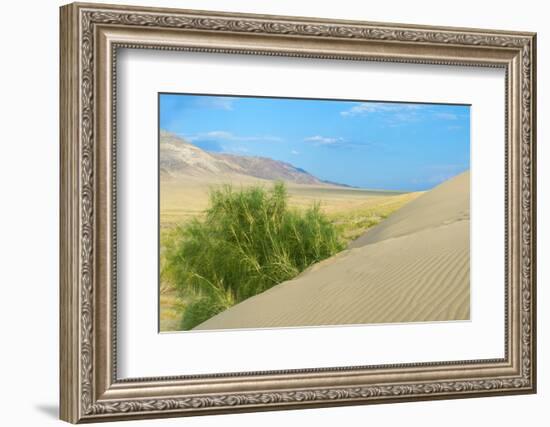 Singing Dunes, Altyn-Emel National Park, Almaty region, Kazakhstan, Central Asia, Asia-G&M Therin-Weise-Framed Photographic Print