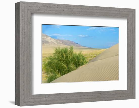 Singing Dunes, Altyn-Emel National Park, Almaty region, Kazakhstan, Central Asia, Asia-G&M Therin-Weise-Framed Photographic Print