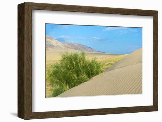 Singing Dunes, Altyn-Emel National Park, Almaty region, Kazakhstan, Central Asia, Asia-G&M Therin-Weise-Framed Photographic Print