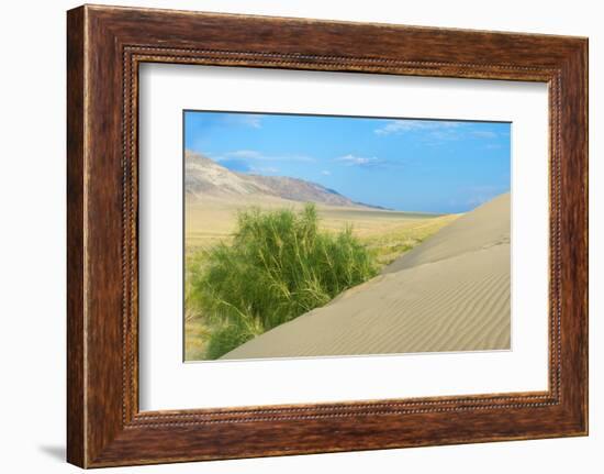 Singing Dunes, Altyn-Emel National Park, Almaty region, Kazakhstan, Central Asia, Asia-G&M Therin-Weise-Framed Photographic Print