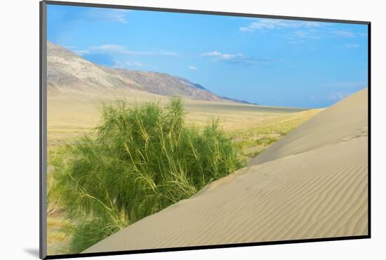Singing Dunes, Altyn-Emel National Park, Almaty region, Kazakhstan, Central Asia, Asia-G&M Therin-Weise-Mounted Photographic Print