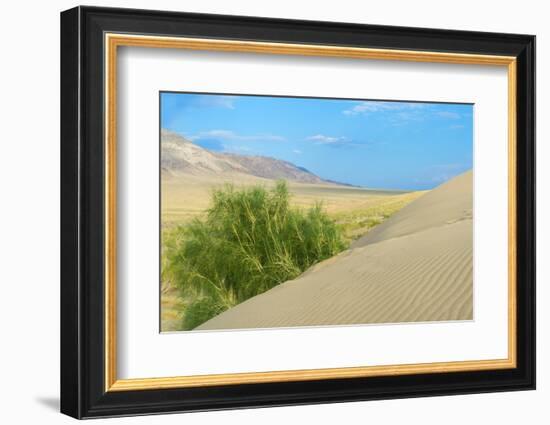 Singing Dunes, Altyn-Emel National Park, Almaty region, Kazakhstan, Central Asia, Asia-G&M Therin-Weise-Framed Photographic Print