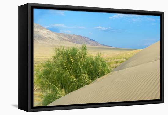 Singing Dunes, Altyn-Emel National Park, Almaty region, Kazakhstan, Central Asia, Asia-G&M Therin-Weise-Framed Premier Image Canvas