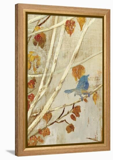 Singing Panel I-Andrew Michaels-Framed Stretched Canvas