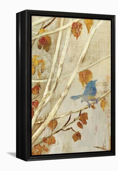 Singing Panel I-Andrew Michaels-Framed Stretched Canvas