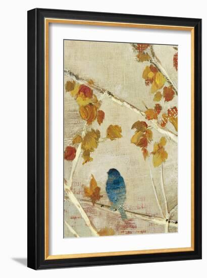 Singing Panel II-Andrew Michaels-Framed Art Print