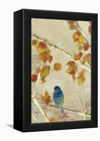 Singing Panel II-Andrew Michaels-Framed Stretched Canvas