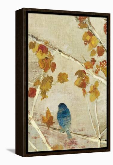 Singing Panel II-Andrew Michaels-Framed Stretched Canvas