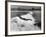 Singing Surfer-null-Framed Photographic Print