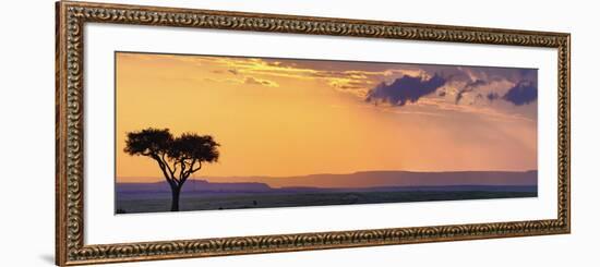 Single Acacia Tree at Sunset, Masai Mara Game Reserve, Kenya-Adam Jones-Framed Photographic Print