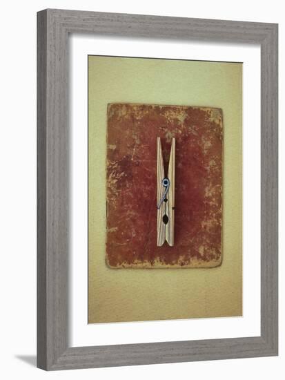 Single Clothes Peg-Den Reader-Framed Photographic Print