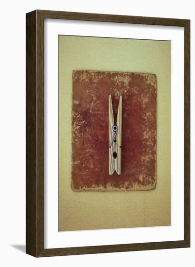 Single Clothes Peg-Den Reader-Framed Photographic Print