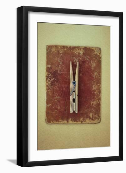 Single Clothes Peg-Den Reader-Framed Photographic Print