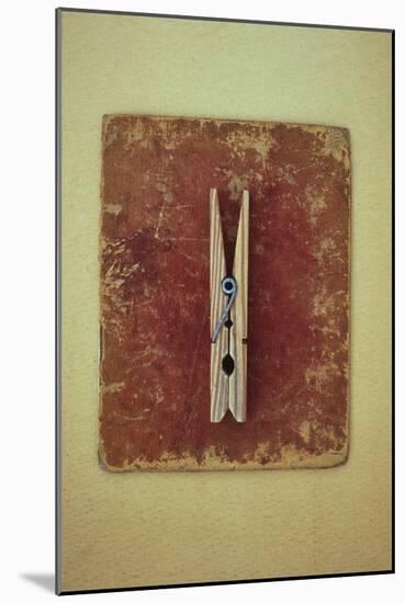 Single Clothes Peg-Den Reader-Mounted Photographic Print