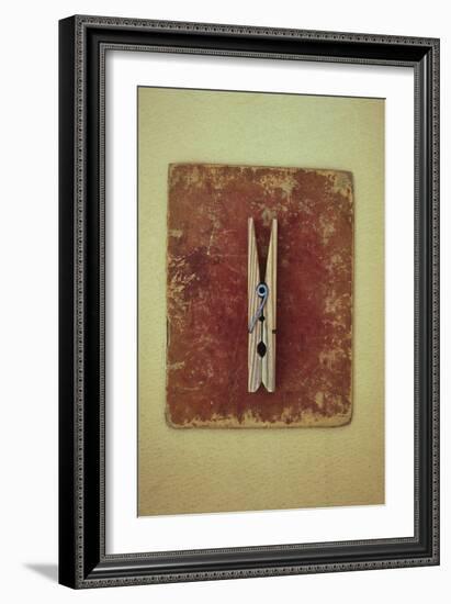 Single Clothes Peg-Den Reader-Framed Photographic Print