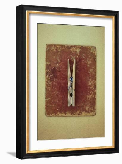 Single Clothes Peg-Den Reader-Framed Photographic Print