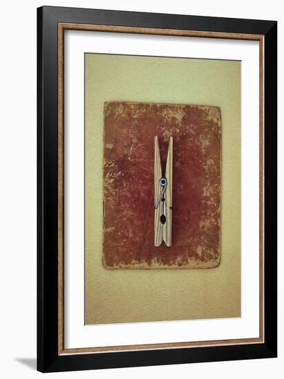 Single Clothes Peg-Den Reader-Framed Premium Photographic Print