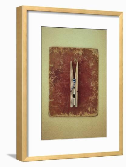 Single Clothes Peg-Den Reader-Framed Premium Photographic Print