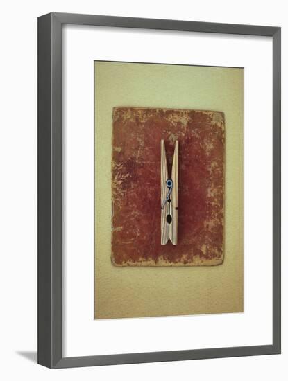 Single Clothes Peg-Den Reader-Framed Premium Photographic Print