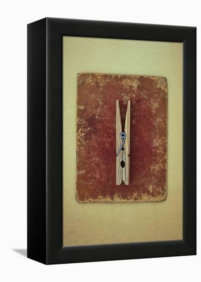 Single Clothes Peg-Den Reader-Framed Premier Image Canvas