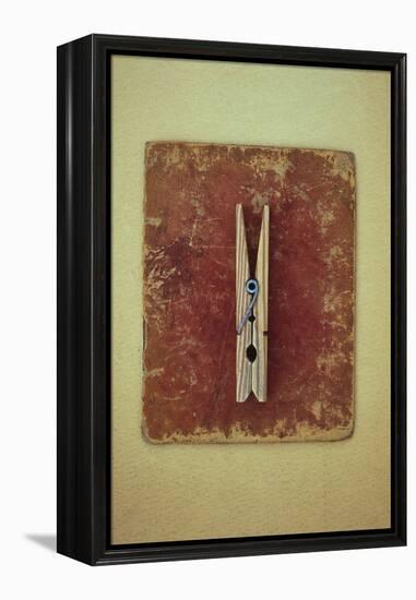 Single Clothes Peg-Den Reader-Framed Premier Image Canvas