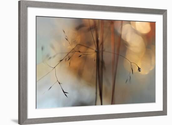 Single Drop Fall-Heidi Westum-Framed Photographic Print