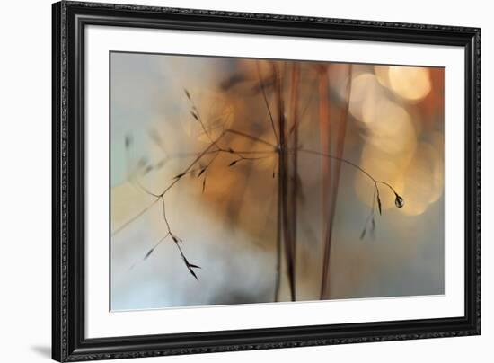 Single Drop Fall-Heidi Westum-Framed Photographic Print