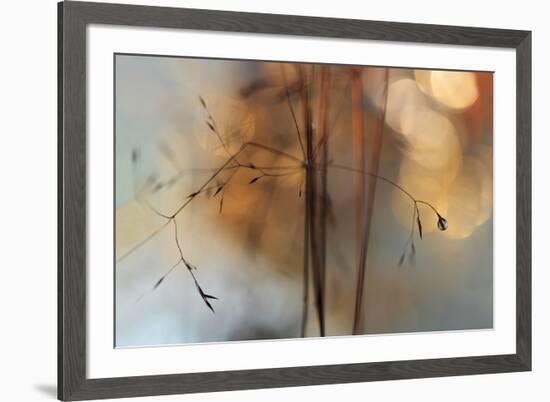 Single Drop Fall-Heidi Westum-Framed Photographic Print