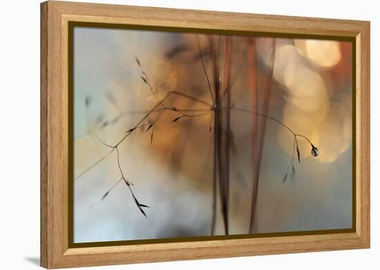 Single Drop Fall-Heidi Westum-Framed Premier Image Canvas