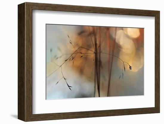 Single Drop Fall-Heidi Westum-Framed Photographic Print