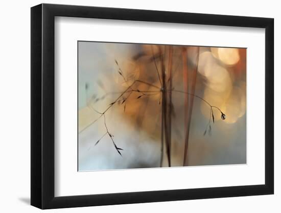 Single Drop Fall-Heidi Westum-Framed Photographic Print