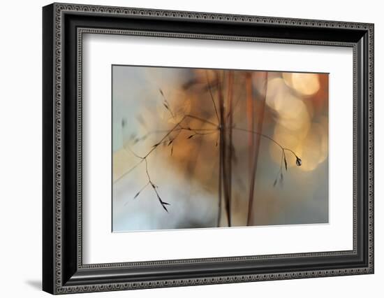 Single Drop Fall-Heidi Westum-Framed Photographic Print