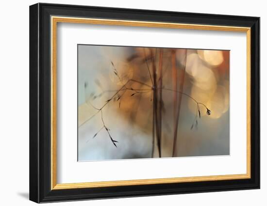 Single Drop Fall-Heidi Westum-Framed Photographic Print