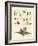 Single Flower Parts-null-Framed Giclee Print