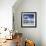 Single Gentoo Penguin on Ice in a Snowy Landscape, on the Antarctic Peninsula, Antarctica-Geoff Renner-Framed Photographic Print displayed on a wall