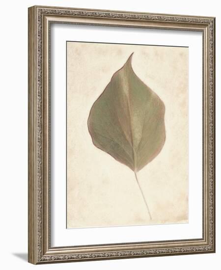 Single Leaf-Amy Melious-Framed Art Print